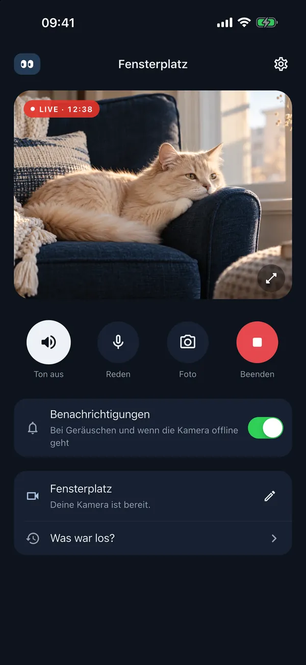 Livebild in der App: Eine Katze am Fenster, darunter die Tasten für Ton und Gegensprechen.